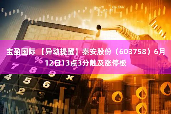 宝盈国际 【异动提醒】秦安股份（603758）6月12日13点3分触及涨停板