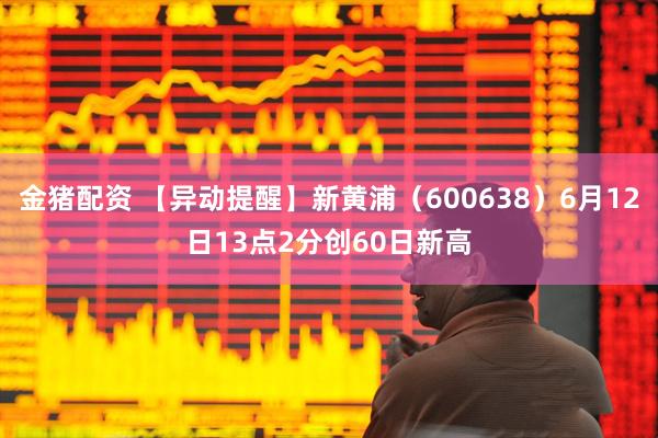 金猪配资 【异动提醒】新黄浦（600638）6月12日13点2分创60日新高