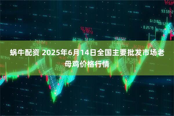 蜗牛配资 2025年6月14日全国主要批发市场老母鸡价格行情