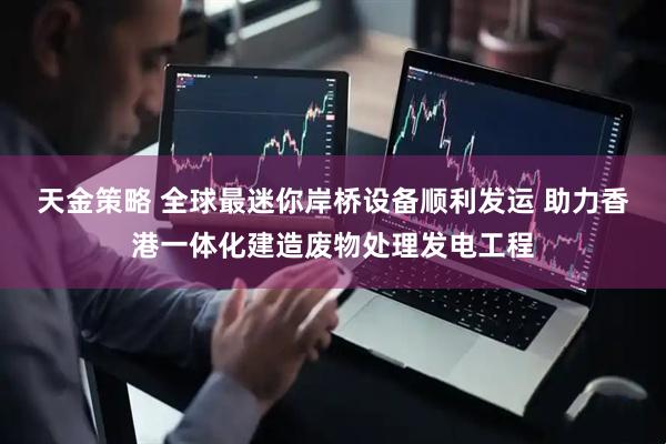 天金策略 全球最迷你岸桥设备顺利发运 助力香港一体化建造废物处理发电工程
