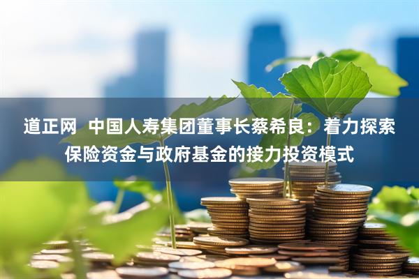 道正网  中国人寿集团董事长蔡希良：着力探索保险资金与政府基金的接力投资模式