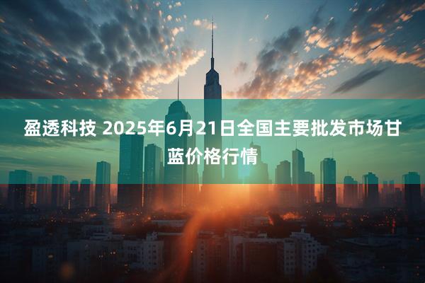 盈透科技 2025年6月21日全国主要批发市场甘蓝价格行情