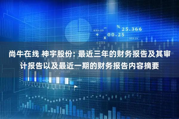 尚牛在线 神宇股份: 最近三年的财务报告及其审计报告以及最近一期的财务报告内容摘要