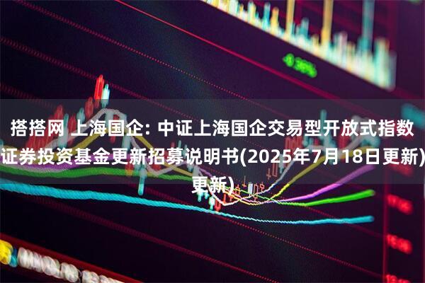 搭搭网 上海国企: 中证上海国企交易型开放式指数证券投资基金更新招募说明书(2025年7月18日更新)