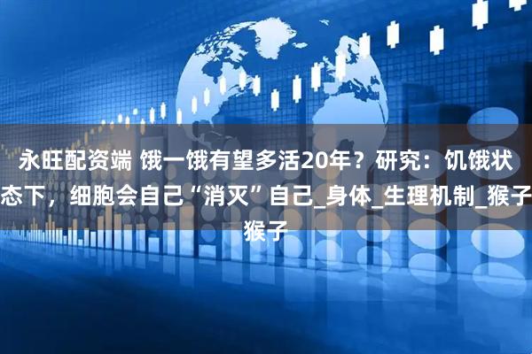 永旺配资端 饿一饿有望多活20年？研究：饥饿状态下，细胞会自己“消灭”自己_身体_生理机制_猴子