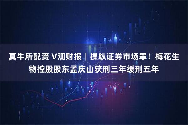 真牛所配资 V观财报|操纵证券市场罪!梅花生物控股股东孟庆山获刑三年缓刑五年
